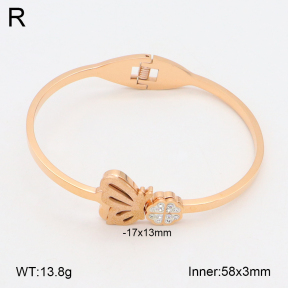 2BA402296bbov-317  Stainless Steel Bangle