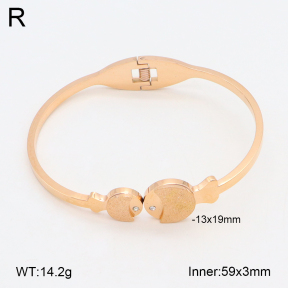 2BA402297bbov-317  Stainless Steel Bangle