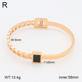 2BA402298bbov-317  Stainless Steel Bangle