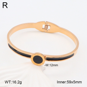 2BA402300bbov-317  Stainless Steel Bangle