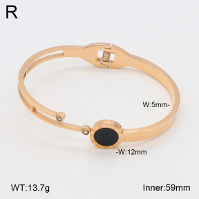 2BA402302bbov-317  Stainless Steel Bangle