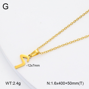 2N2005952vail-355  Stainless Steel Necklace