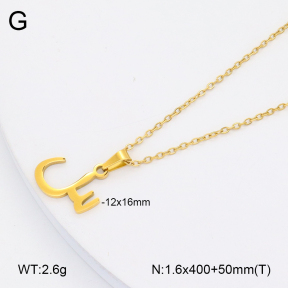 2N2005953vail-355  Stainless Steel Necklace