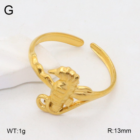 2R2001899vail-355  Stainless Steel Ring