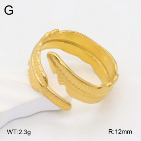 2R2001903vail-355  Stainless Steel Ring