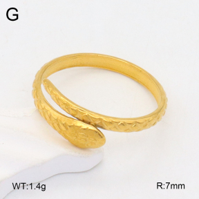 2R2001913vail-355  Stainless Steel Ring