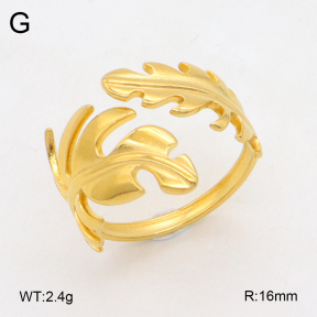 2R2001915vail-355  Stainless Steel Ring