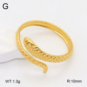2R2001919vail-355  Stainless Steel Ring