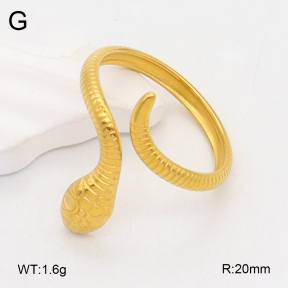 2R2001920vail-355  Stainless Steel Ring
