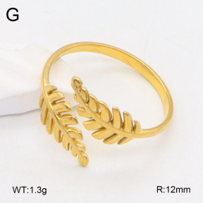 2R2001921vail-355  Stainless Steel Ring