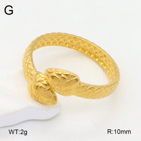 2R2001958vail-355  Stainless Steel Ring