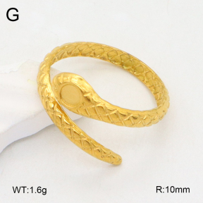 2R2001971vail-355  Stainless Steel Ring