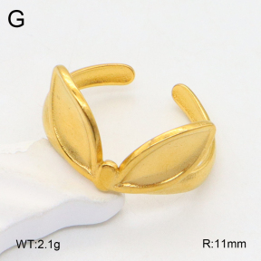 2R2001982vail-355  Stainless Steel Ring