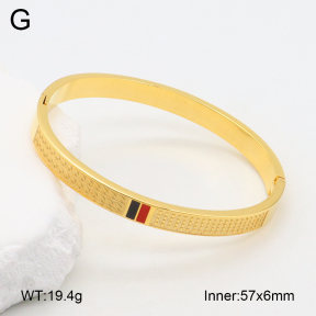 2BA202144vbnb-749  Stainless Steel Bangle
