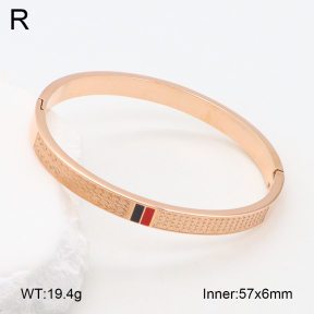 2BA202145vbnb-749  Stainless Steel Bangle