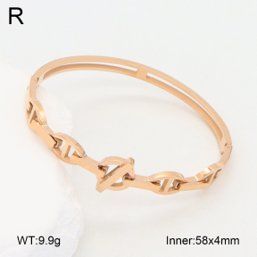 2BA202150bbov-749  Stainless Steel Bangle