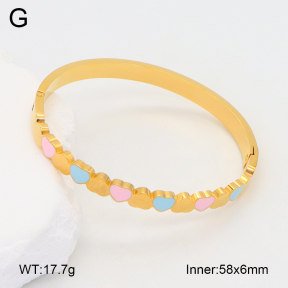 2BA300483bbov-749  Stainless Steel Bangle