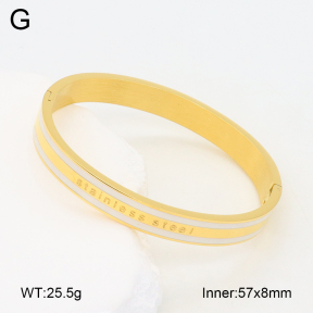 2BA300484vbpb-749  Stainless Steel Bangle