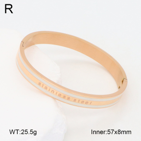 2BA300485vbpb-749  Stainless Steel Bangle
