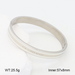2BA300486bbov-749  Stainless Steel Bangle