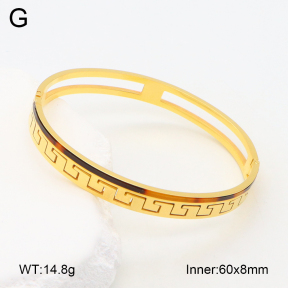 2BA402309vbnb-749  Stainless Steel Bangle