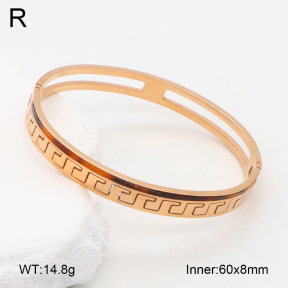 2BA402310vbnb-749  Stainless Steel Bangle