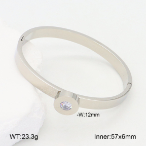 2BA402317bbov-749  Stainless Steel Bangle