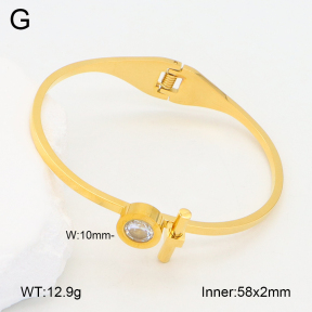 2BA402318bbov-749  Stainless Steel Bangle