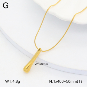 2N2006088ablb-749  Stainless Steel Necklace