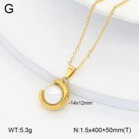 2N3002655ablb-749  Stainless Steel Necklace