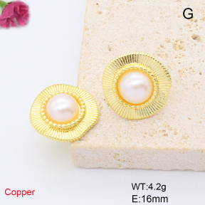 F6E302031baka-L017  Fashion Copper Earrings