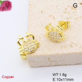 F6E405687ablb-L017  Fashion Copper Earrings