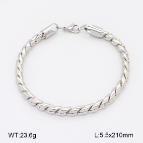 2B2004304bbov-312  Stainless Steel Bracelet
