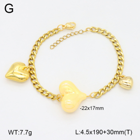 2B3003981ablb-698  Stainless Steel Bracelet