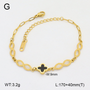 2B4004976vbnb-747  Stainless Steel Bracelet