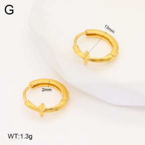 2E2006092bbov-253  Stainless Steel Earrings
