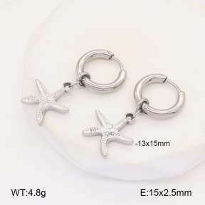 2E2006094ablb-253  Stainless Steel Earrings