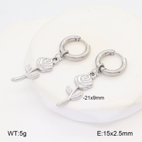 2E2006095ablb-253  Stainless Steel Earrings
