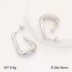 2E2006098vbnl-253  Stainless Steel Earrings