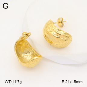2E2006099vbpb-253  Stainless Steel Earrings