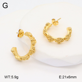 2E2006100abol-253  Stainless Steel Earrings
