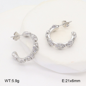 2E2006101vbnl-253  Stainless Steel Earrings