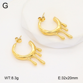 2E2006102abol-253  Stainless Steel Earrings