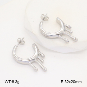 2E2006103vbnl-253  Stainless Steel Earrings