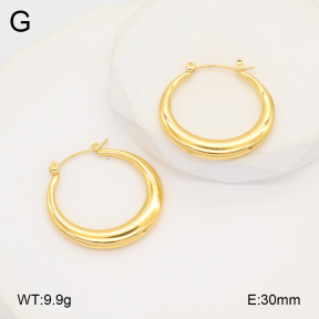 2E2006104vbnl-253  Stainless Steel Earrings