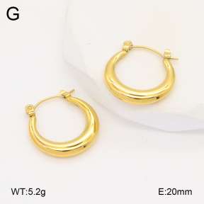 2E2006108bblo-253  Stainless Steel Earrings