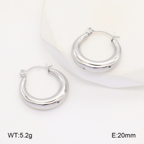 2E2006109vbll-253  Stainless Steel Earrings