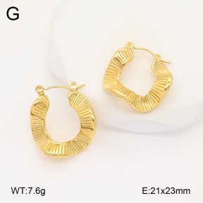2E2006110abol-253  Stainless Steel Earrings