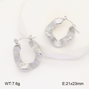 2E2006111vbnl-253  Stainless Steel Earrings