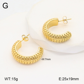 2E2006112abol-253  Stainless Steel Earrings